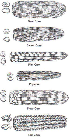 9e4ca171-89cd-488f-838f-66901faf8f96-9559-00000acdd94b87bf_tmp-1